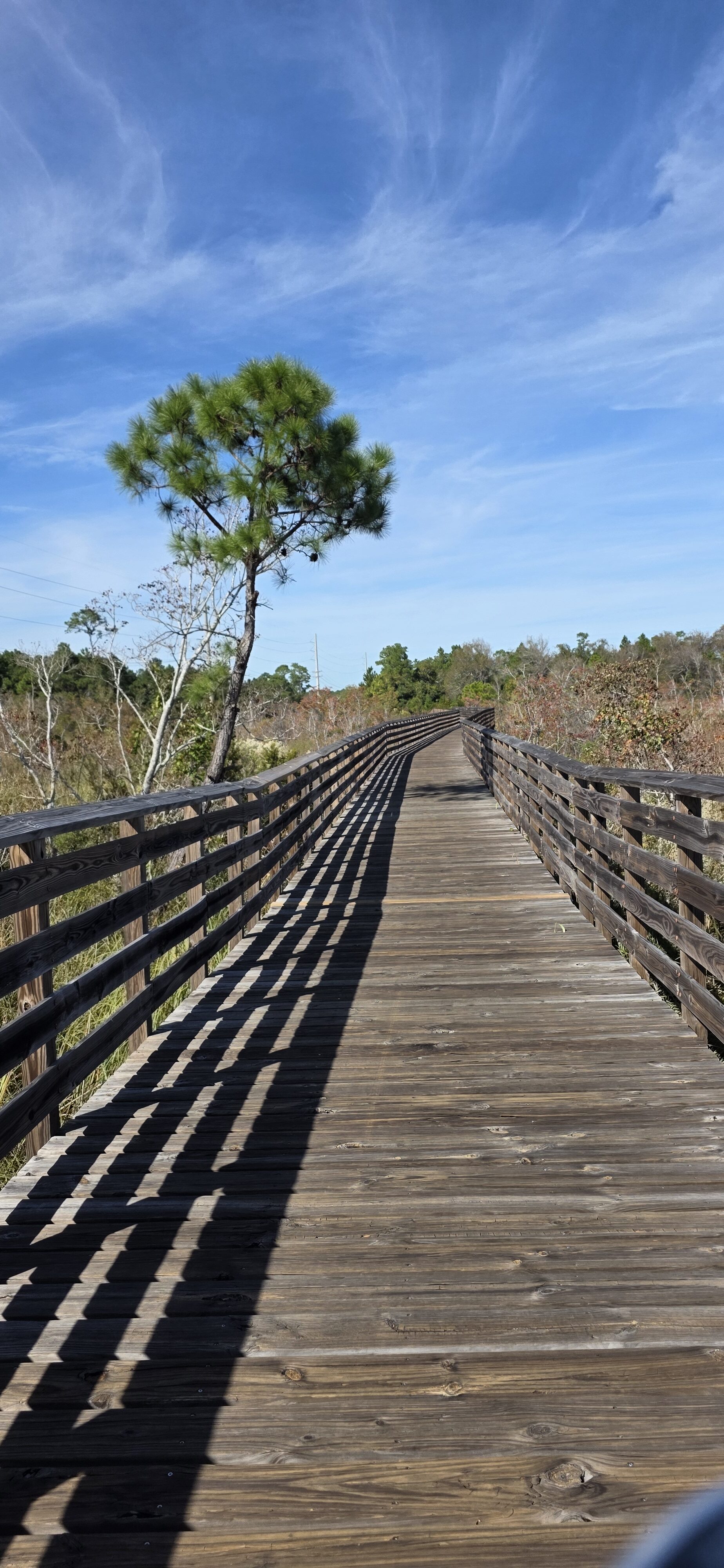 Bike Trail - Hugh S Branyon Backcountry Trail Alabama