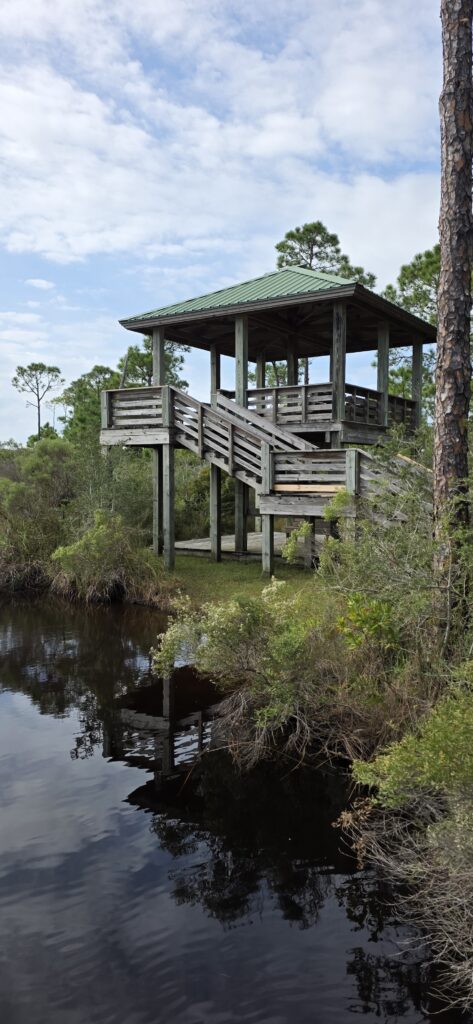 Lookout Tower Pine Beach Trail- Gulf Shores, Alabama