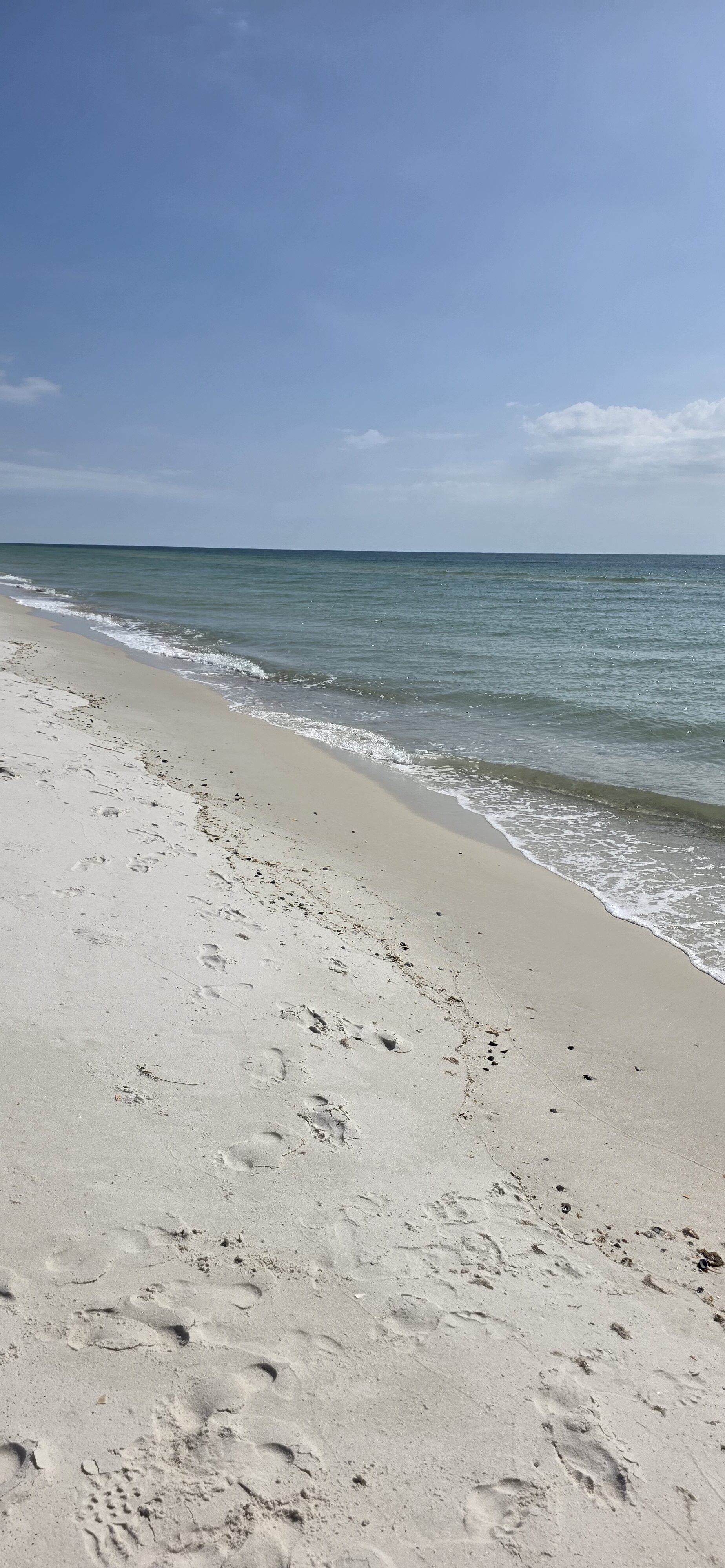 Pine Beach- Pine Beach Trail Gulf Shores, Alabama